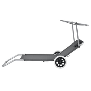 Lot de 2 Transat avec Brise-soleil et avec Roulettes Gris Foncé 146 x 52 x 15 cm [casa.pro]