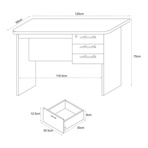 Bureau Ragunda 120x59x75 cm houtkleurig donker [en.casa]