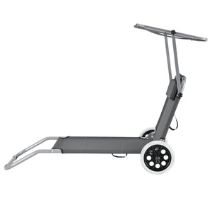 Lot de 2 Transat avec Brise-soleil et avec Roulettes Gris Foncé 146 x 52 x 15 cm [casa.pro]