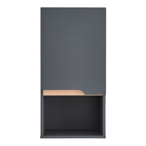 Armoire murale de salle de bain Bergkamen 60 x 30 x 30 cm gris effet bois [en.casa]