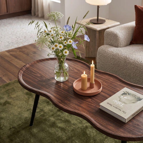 Table basse Ken 100 x 60 x 47 cm aspect noyer [en.casa]