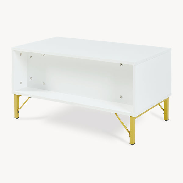 Salontafel Reyri 80x45x42 cm wit en goudkleurig [en.casa]