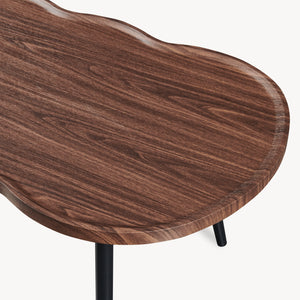 Table basse Ken 100 x 60 x 47 cm aspect noyer [en.casa]