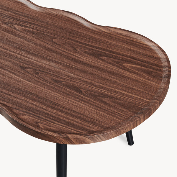 Table basse Ken 100 x 60 x 47 cm aspect noyer [en.casa]