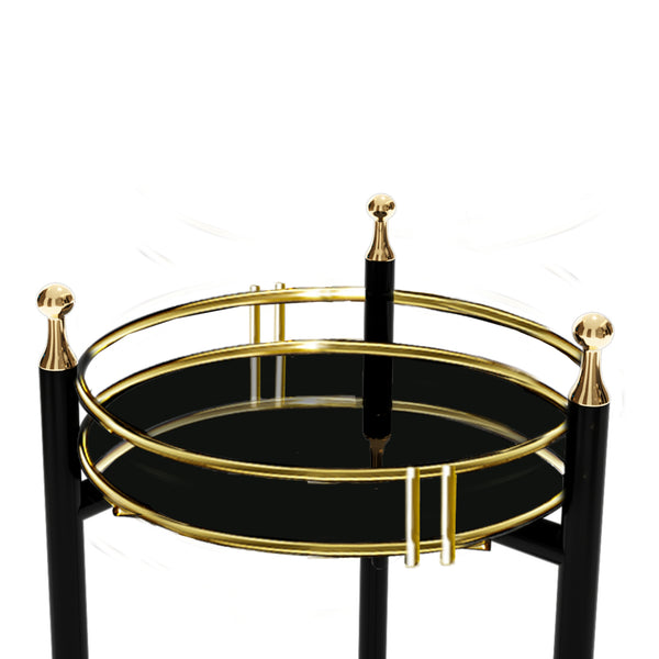 Support de plantes Oulainen à 2 niveaux métal 79 x 28 x 28 cm noir or [en.casa]