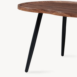 Table basse Ken 100 x 60 x 47 cm aspect noyer [en.casa]