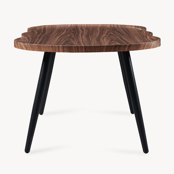 Table basse Ken 100 x 60 x 47 cm aspect noyer [en.casa]