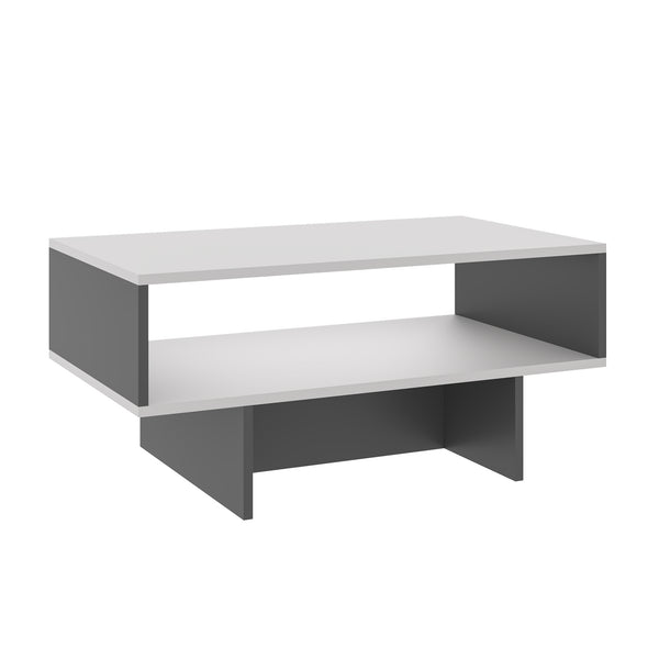 Table basse Mjölby avec espace de rangement 37 x 80 x 45 cm [en.casa]