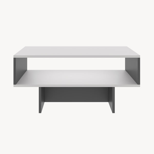 Table basse Mjölby avec espace de rangement 37 x 80 x 45 cm [en.casa]