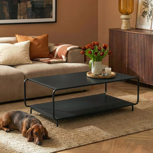 Table basse Færder acier 115 x 50 x 45 cm noir mat [en.casa]