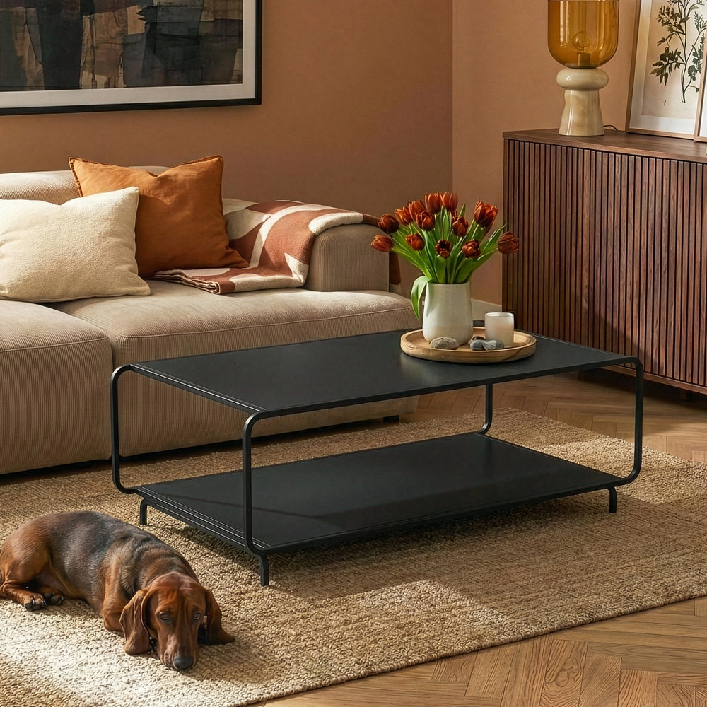 Table basse Færder acier 115 x 50 x 45 cm noir mat [en.casa]