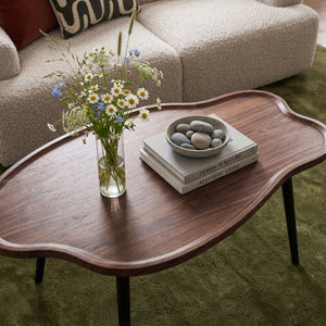Table basse de salon Trestaneng 100 x 60 x 47 cm effet noyer [en.casa]