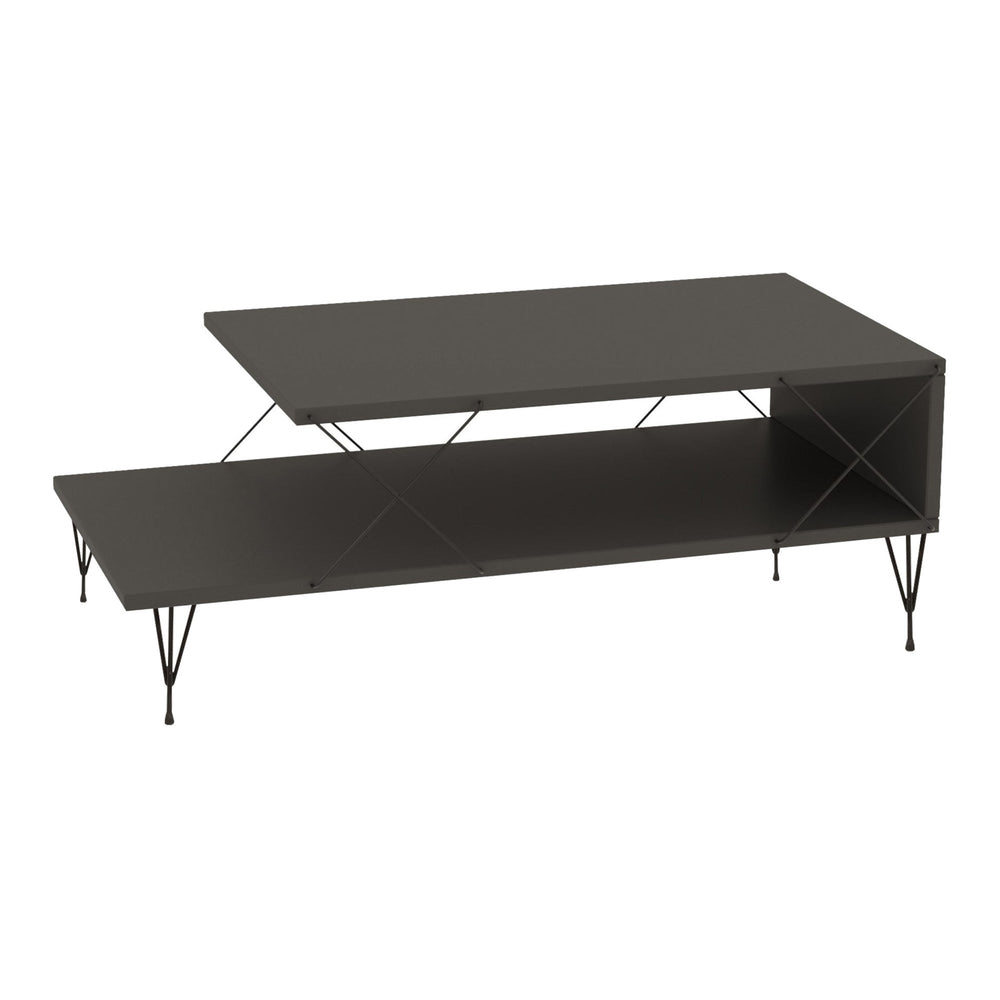 Table basse de salon Asker avec étagère panneau de particules métal 100 x 50 x 40 cm [en.casa]