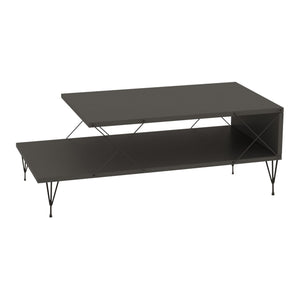 Table basse de salon Asker avec étagère panneau de particules métal 100 x 50 x 40 cm [en.casa]
