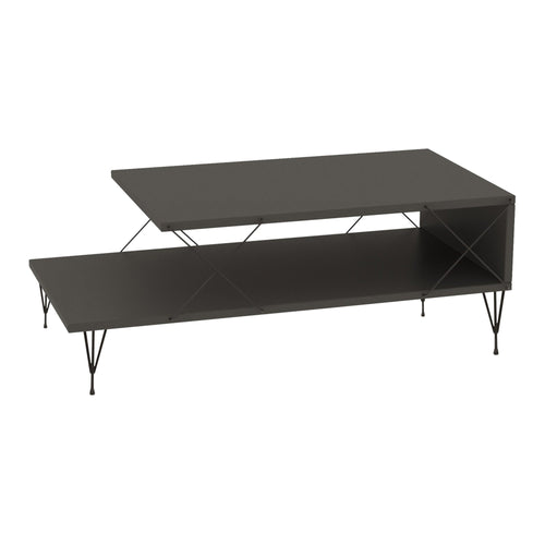 Table basse de salon Asker avec étagère panneau de particules métal 100 x 50 x 40 cm [en.casa]