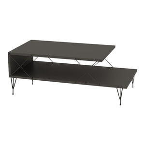 Table basse de salon Asker avec étagère panneau de particules métal 100 x 50 x 40 cm [en.casa]