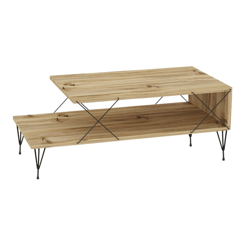 Table basse de salon Asker avec étagère panneau de particules métal 100 x 50 x 40 cm [en.casa]