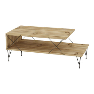 Table basse de salon Asker avec étagère panneau de particules métal 100 x 50 x 40 cm [en.casa]