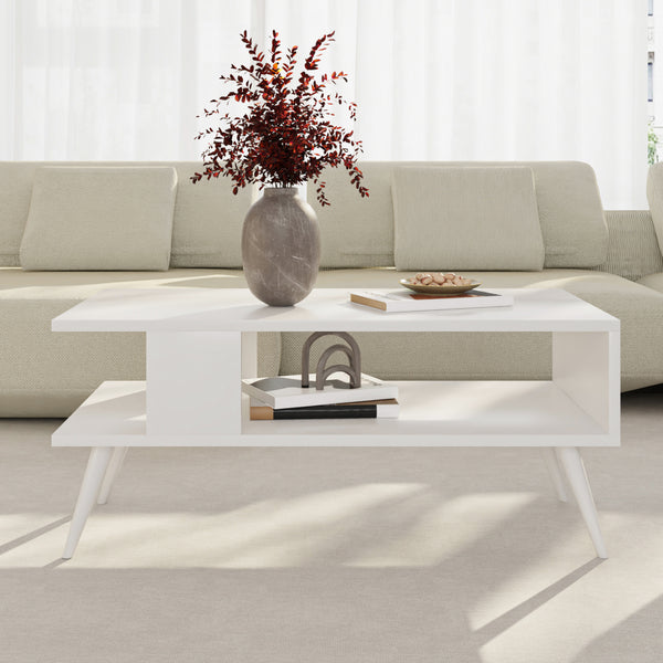 Table basse Lycksele avec espace de rangement 40 x 90 x 45 cm [en.casa]