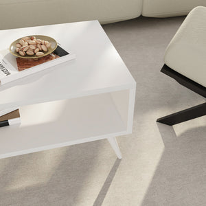 Table basse Lycksele avec espace de rangement 40 x 90 x 45 cm [en.casa]