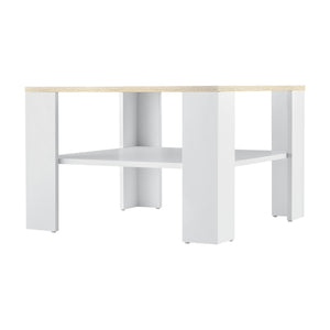 Table Basse de Salon avec Espace de Rangement Aachen 60 x 60 x 40 cm [en.casa]