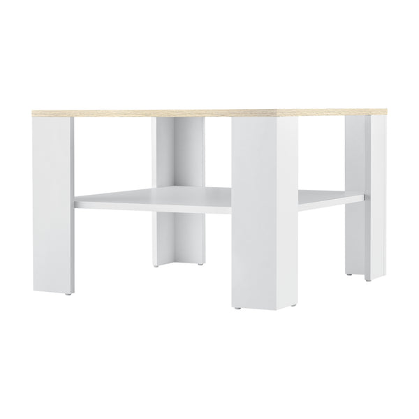 Table Basse de Salon avec Espace de Rangement Aachen 60 x 60 x 40 cm [en.casa]