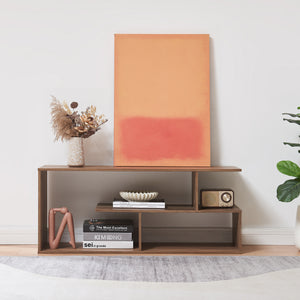 Meuble TV Anän 100 x 30 x 42 cm [en.casa]