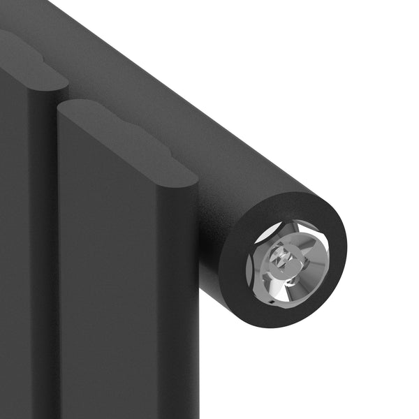 Radiateur à panneau plat Nore 249 W acier 60 x 30 cm noir [neu.haus]