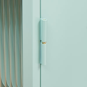 Armoire murale Zundert avec porte en verre strié 60 x 35 x 15 cm acier [en.casa]