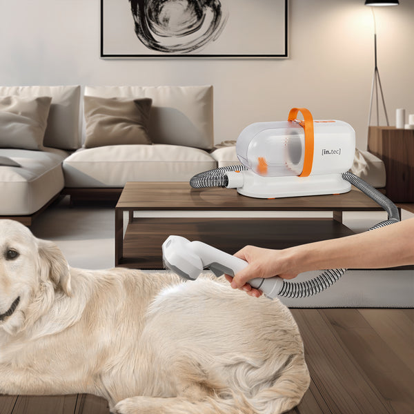 Hondentondeuse met stofzuiger Amesbury 6-in-1 verzorgingsset voor huisdieren in.tec