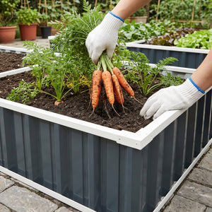 Jardinière surélevée Albrandswaard 258 x 90 x 30 cm anthracite [en.casa]