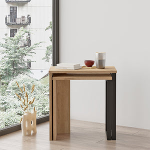 Lot de 2 tables basses gigognes Vesanto de tailles différentes [en.casa]