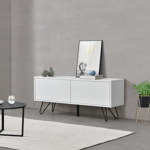 Commode Bollebygd à 2 Portes 47 x 110 x 30 cm  Plusieurs couleurs [en.casa]