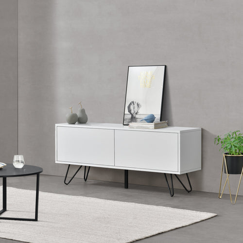 Commode Bollebygd à 2 Portes 47 x 110 x 30 cm  Plusieurs couleurs [en.casa]