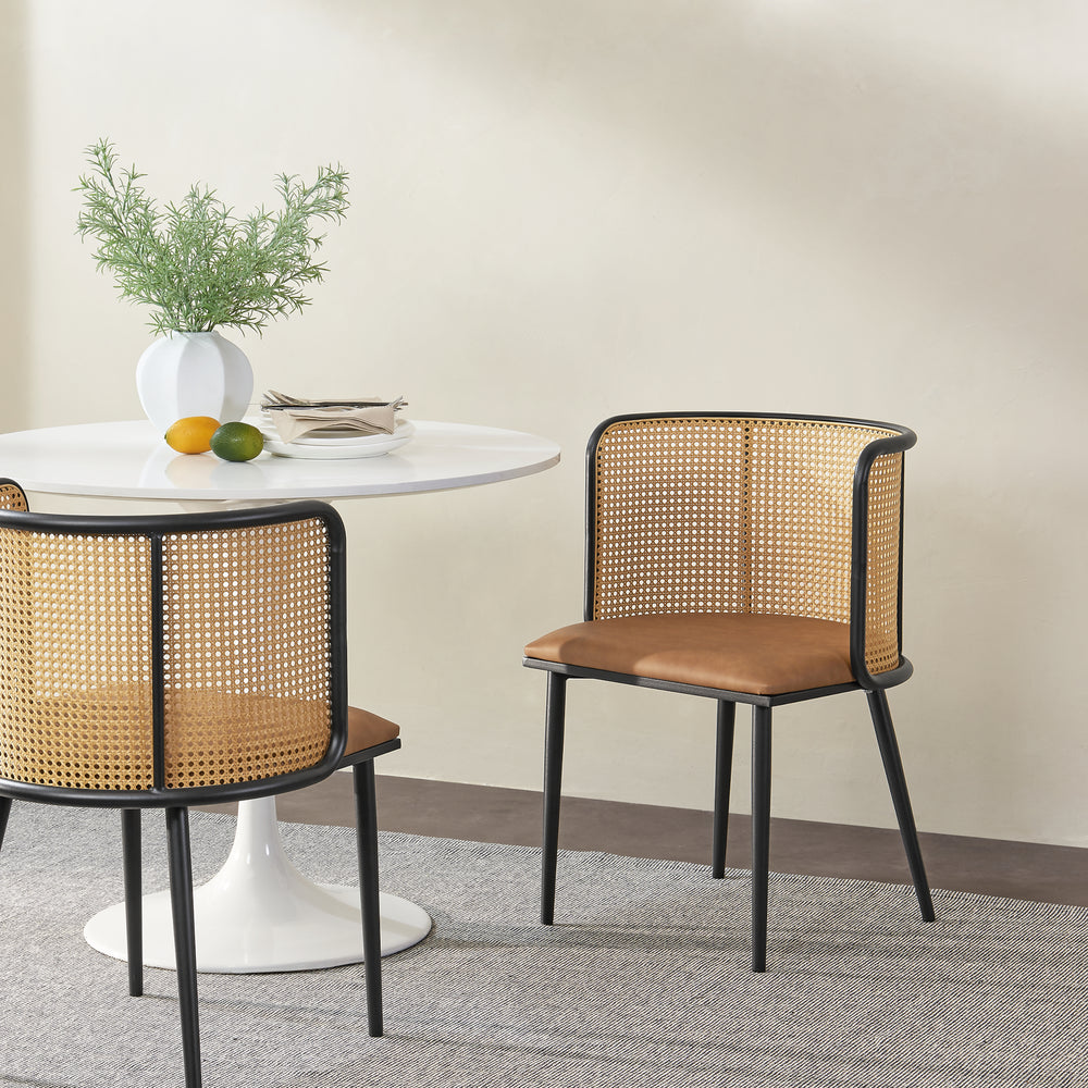 Chaise de salle à manger Flen lot de 2 en différentes couleurs [en.casa] - premiumXL