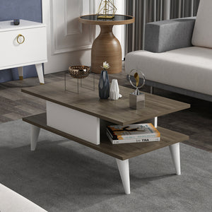Table basse Melhus avec espace de rangement 40 x 90 x 45 cm [en.casa]