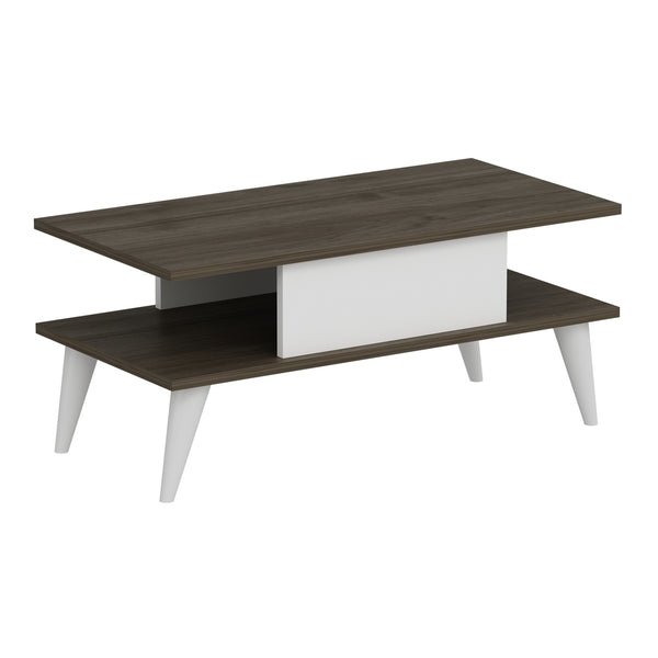 Table basse Melhus avec espace de rangement 40 x 90 x 45 cm [en.casa]